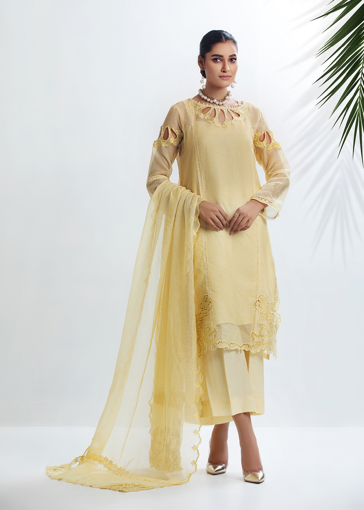 DURE SHAHWAR - DHANAK'22 - PASTEL YELLOW-D-05 - LUXURY PRET