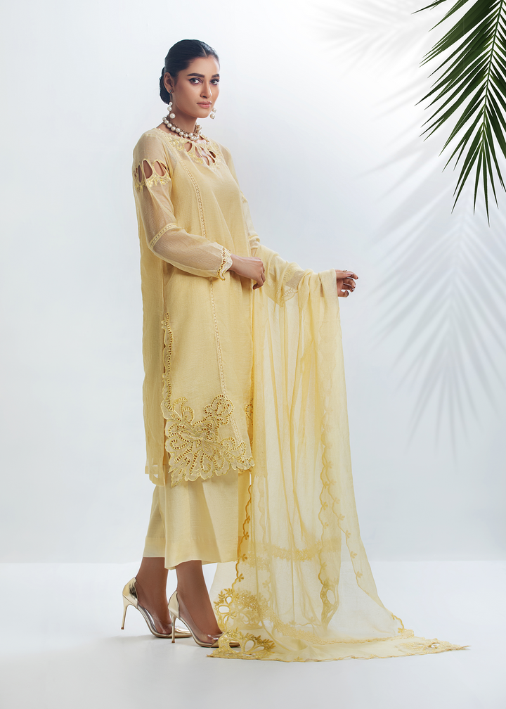 DURE SHAHWAR - DHANAK'22 - PASTEL YELLOW-D-05 - LUXURY PRET