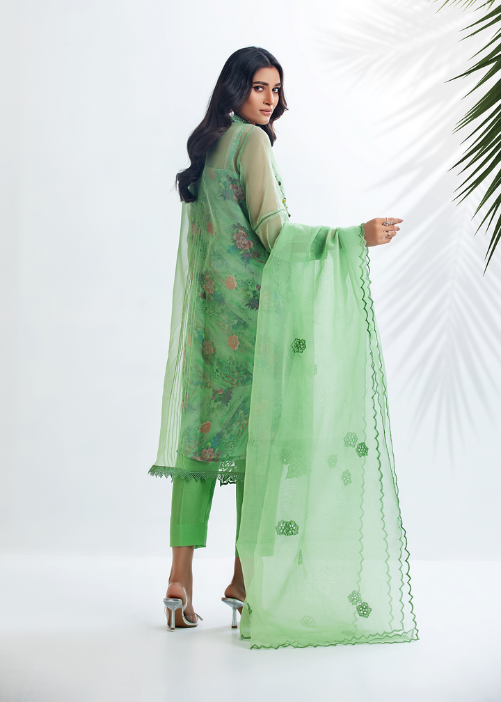 DURE SHAHWAR - DHANAK'22 - LIGHT GREEN - D-02 - LUXURY PRET