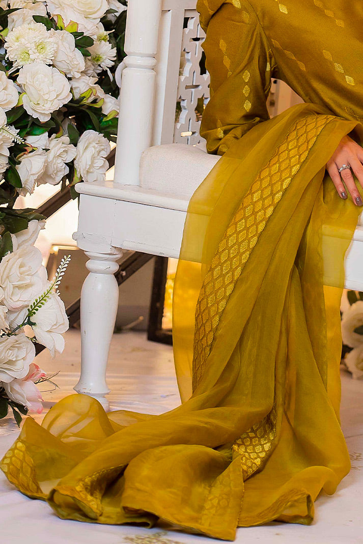 RJ's PRET - MONOTONE-SOLIDS- DHANI DUPATTA - DUPATTA