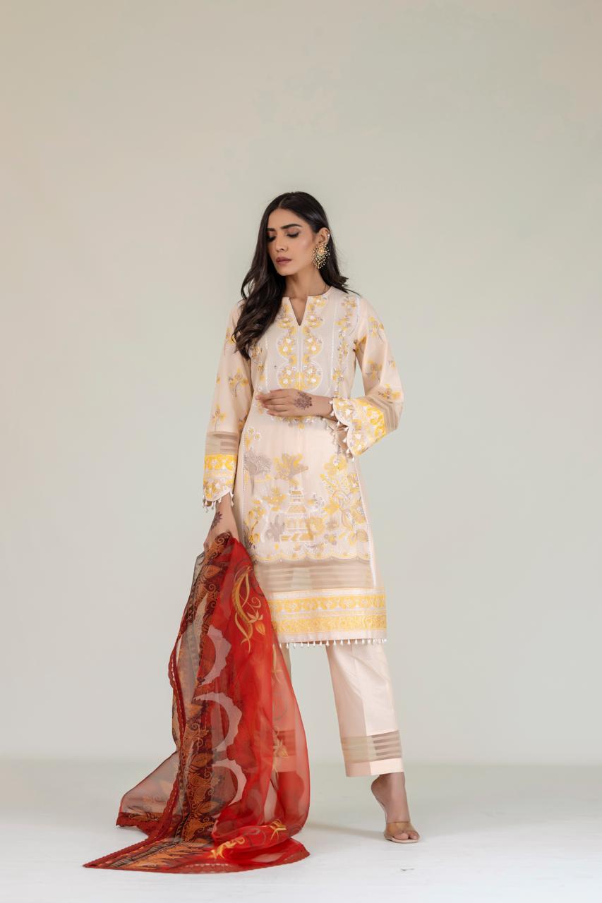 AHMAD RAZA - AR2071 - LUXURY PRET